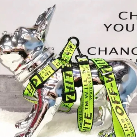 Meet your Posher, Sabrina - Picture 8 of 11